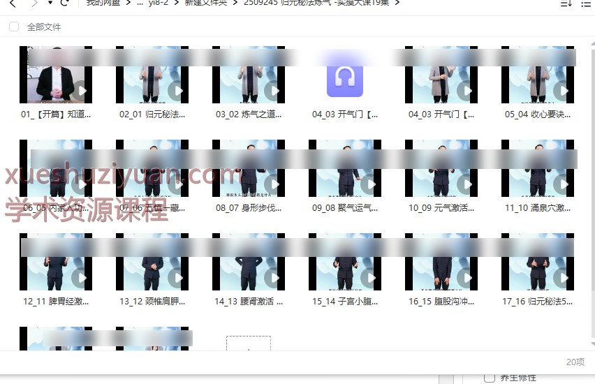 2509245 归元秘法炼气 -实操大课19集插图