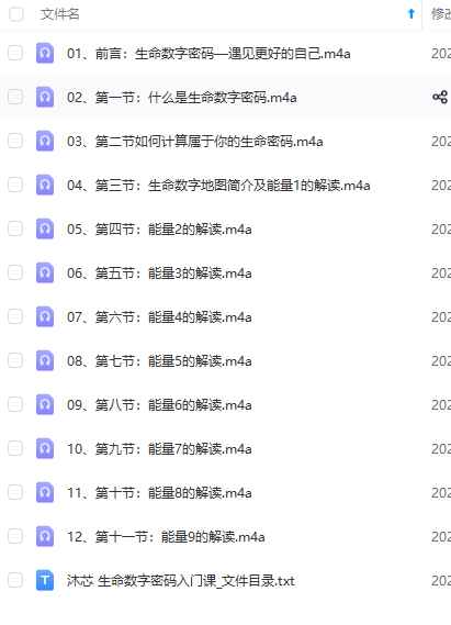 2510111 沐芯生命数字系统课25集视频➕入门课12集音频！2套大合集Y插图