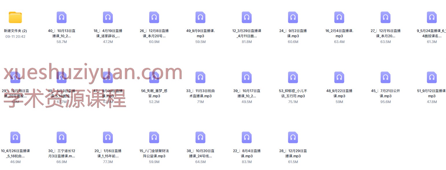 250980 三宁道长薛冰祝由术面授课56集插图1