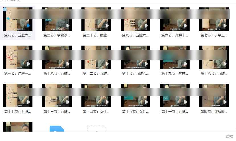 2510196 道医黄凯晟《掌纹的秘密 掌纹诊断的基本方法》视频20集Y插图 2510196 道医黄凯晟《掌纹的秘密 掌纹诊断的基本方法》视频20集Y插图