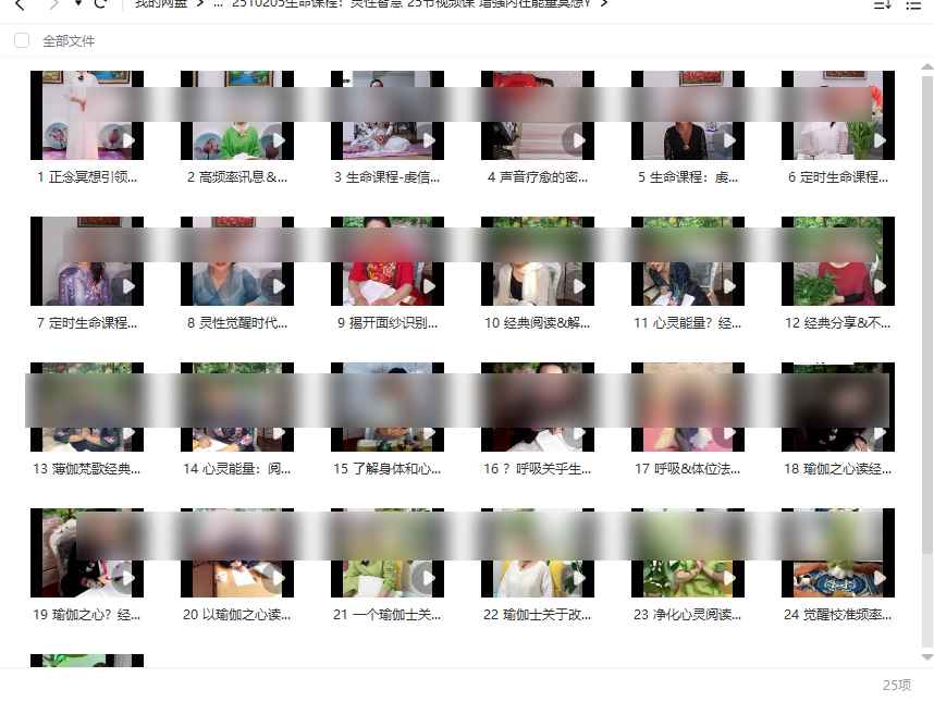 2510205生命课程:灵性智慧 25节视频课 增强内在能量冥想Y插图 2510205生命课程:灵性智慧 25节视频课 增强内在能量冥想Y插图