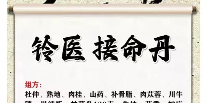 2510243铃医接命丹插图