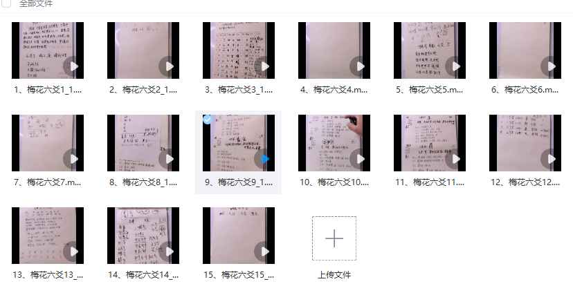 2512123三奇老师《梅六花爻》教学视频15集Y插图1 2512123三奇老师《梅六花爻》教学视频15集Y插图1