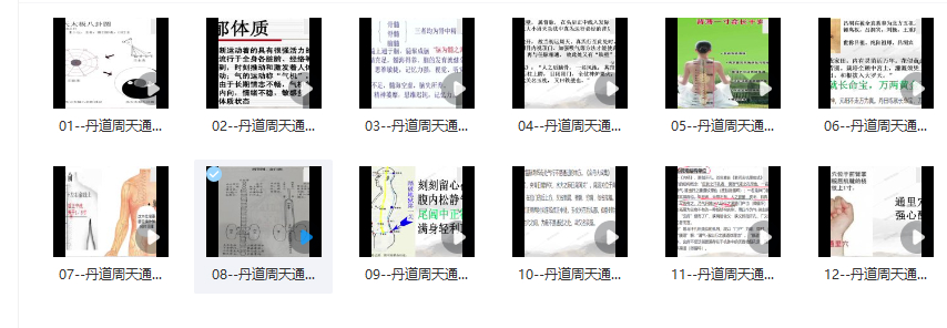 2512168 王哲 丹道周天通关术12集插图