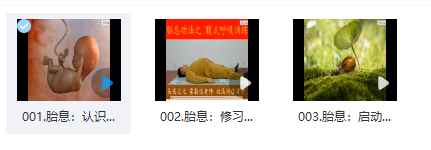 2512191 天罡阁《胎息养生》系统3集视频课程 天罡阁《胎息养生》系统3集视频课程插图1