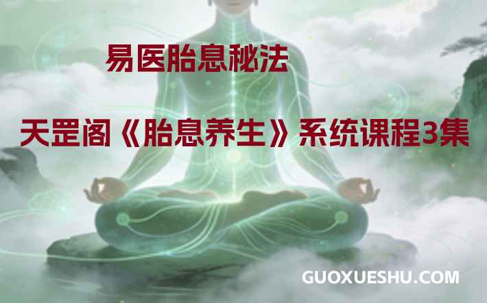 2512191 天罡阁《胎息养生》系统3集视频课程 天罡阁《胎息养生》系统3集视频课程插图