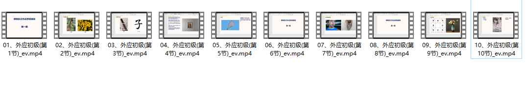 2512214 照明居士《外应学》初级班10集插图