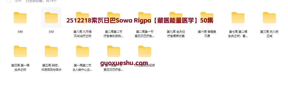 2512218索瓦日巴Sowa Rigpa【藏医能量医学】50集插图