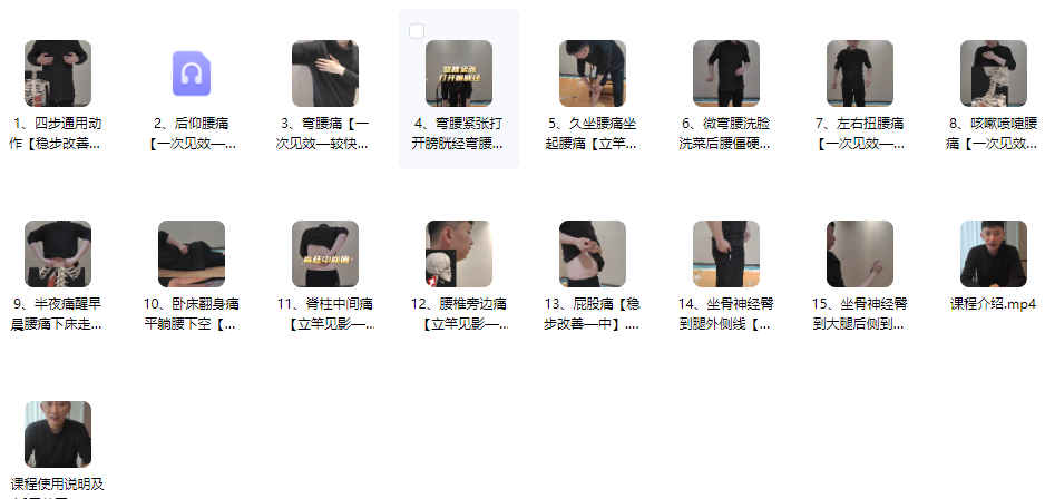 2512253 腰椎自疗自愈 一站式解决17集视频插图