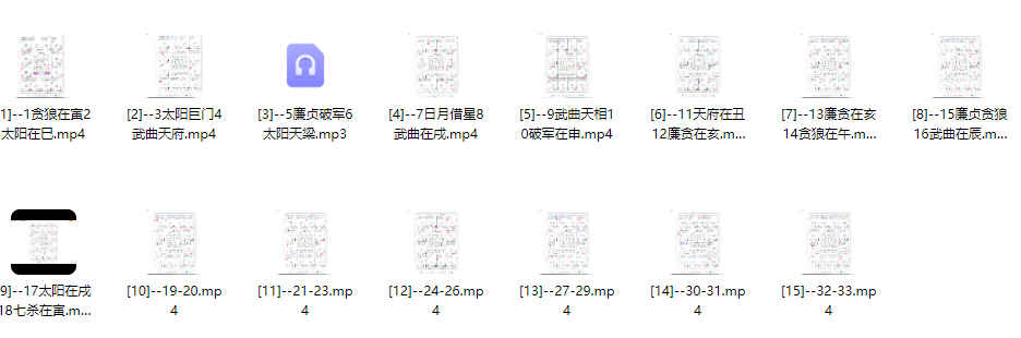 2512266 天乙上人紫微斗数命例婚姻15集视频插图