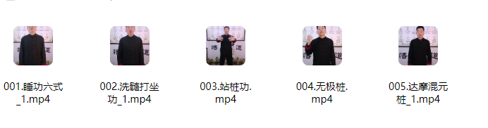 2512274 五大禅定实修法门 5集视频Y插图