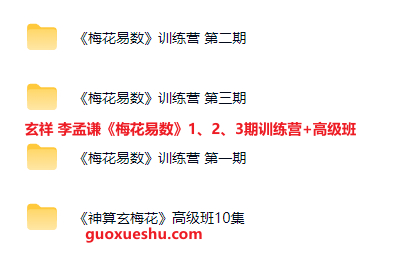 2512293  玄祥 李孟谦《梅花易数》1、2、3期训练营+高级班插图