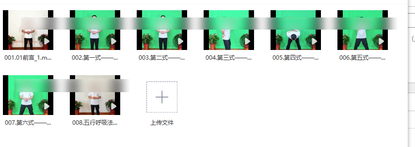 251206 赵龙海秘传五行呼吸法8集视频Y插图 251206 赵龙海秘传五行呼吸法8集视频Y插图