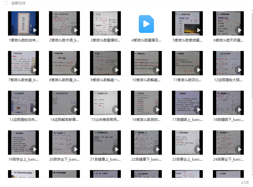 251207 林白紫薇、奇门弟子班46集47视频课Y插图 251207 林白紫薇、奇门弟子班46集47视频课Y插图
