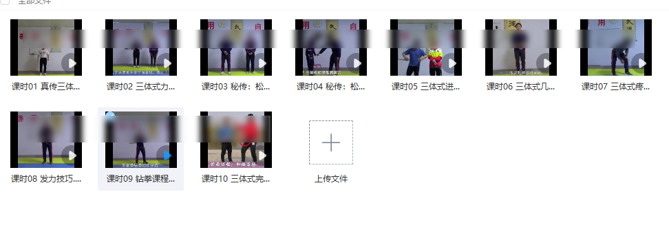 251214庞超真传形意拳颠覆三体式力学机构与实战应用_10课时插图