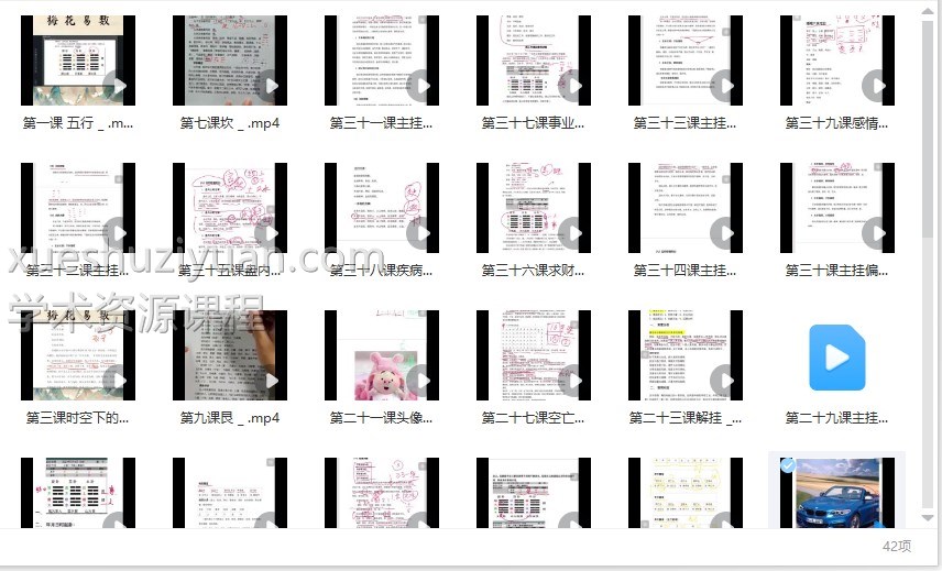 民间梅花易数梅花探幽42集插图1 民间梅花易数梅花探幽42集插图1