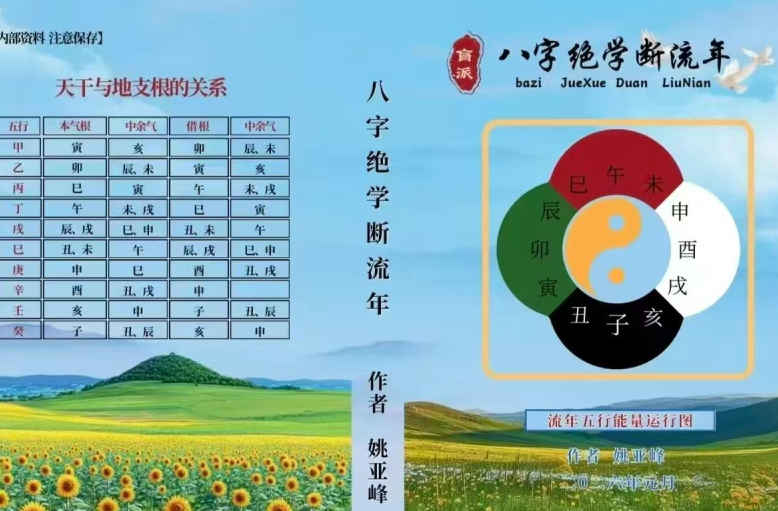 260307 姚亚峰《盲派八字绝学断流年》506页插图