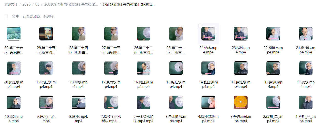 260309 苏证铧《金锁玉关高级线上课》30集插图