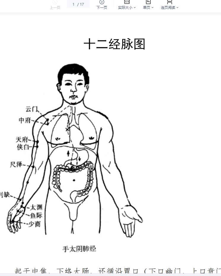 260317 十二经脉图.pdf 17P插图
