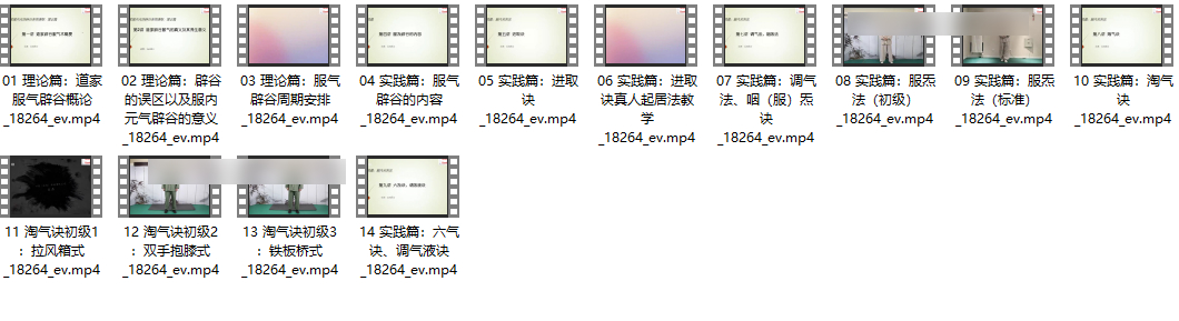 260344 X杨光 道家正宗服气辟谷术14集插图