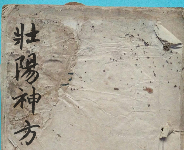 260468 壮阳神方 .pdf插图