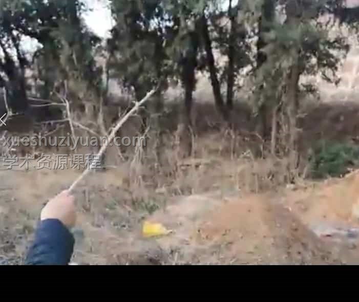 张少波 天星风水教学实践案例视频57集插图 张少波 天星风水教学实践案例视频57集插图