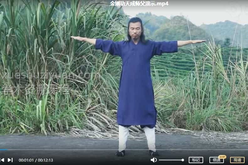 龙门天成丹道修身 龙门天成-三九合一功8集视频+文档插图 龙门天成丹道修身 龙门天成-三九合一功8集视频+文档插图