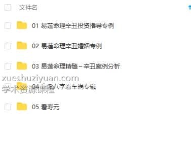 吴玉莲 2021吴玉莲盲派八字视频课程 辛丑视频46集插图1