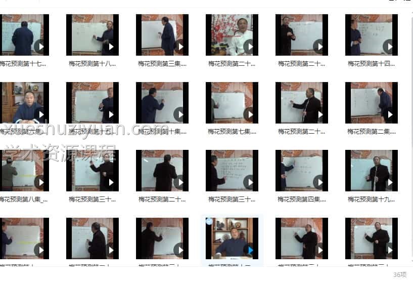 唐友权梅花易数课程梅花精断 36集插图