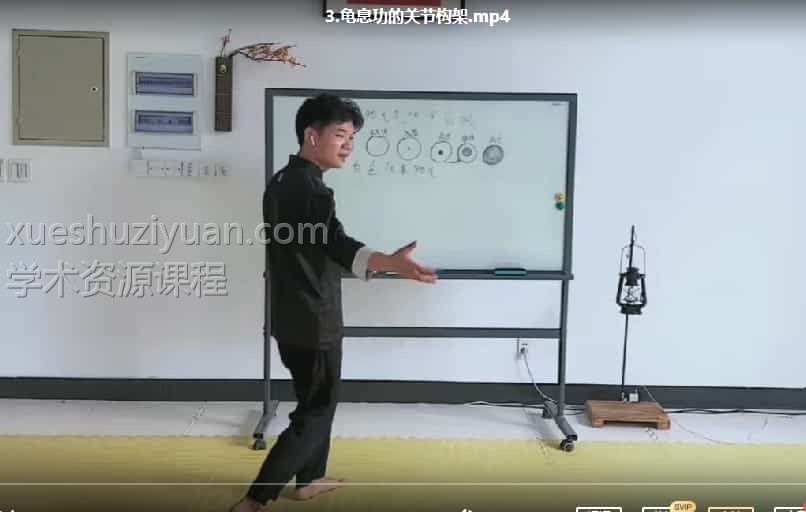 龟息功【养打同练】5集课程视频插图 龟息功【养打同练】5集课程视频插图