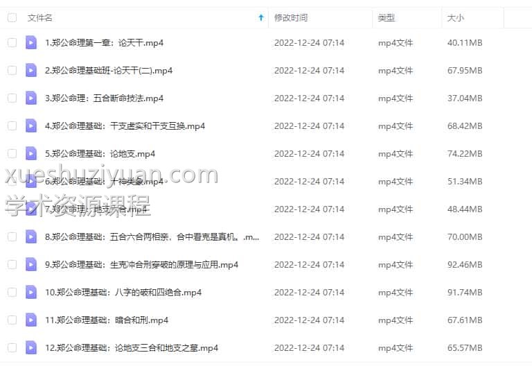 郑民生网络培训班录音+文档插图1