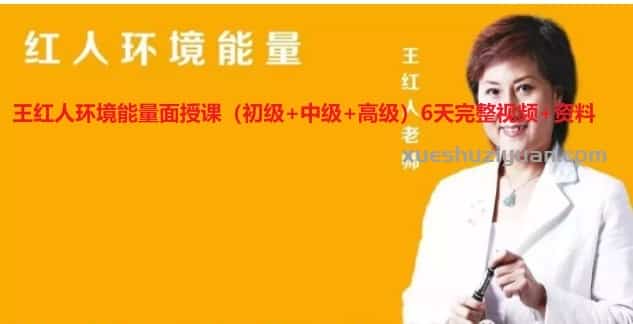 王红人环境能量面授课(初级+中级+高级)6天完整视频+资料插图 王红人环境能量面授课(初级+中级+高级)6天完整视频+资料插图