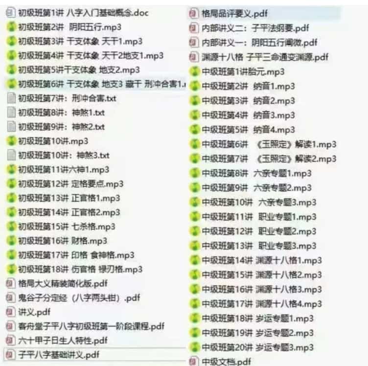 客舟堂子平命理初级录音文档+中级录音文档插图 客舟堂子平命理初级录音文档+中级录音文档插图