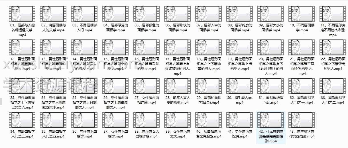 丽莎老师面相解读43集视频课程插图 丽莎老师面相解读43集视频课程插图