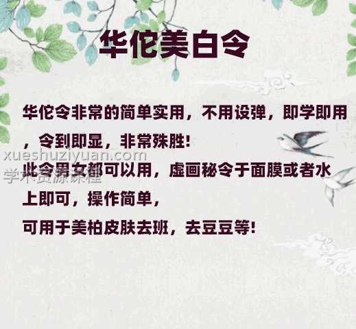 华佗美白令 文档+口封音频插图