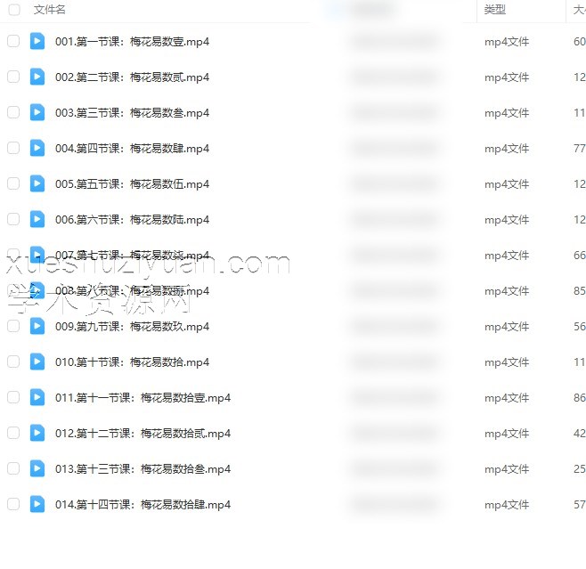 梅花易数弘易视频14节插图 梅花易数弘易视频14节插图
