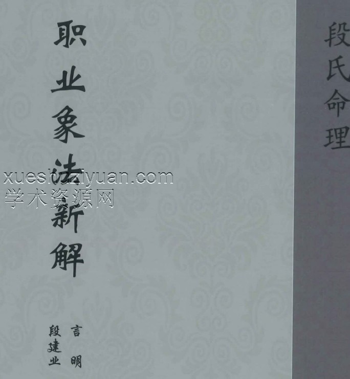 段建业新书 职业象法新解 210P插图 段建业新书 职业象法新解 210P插图