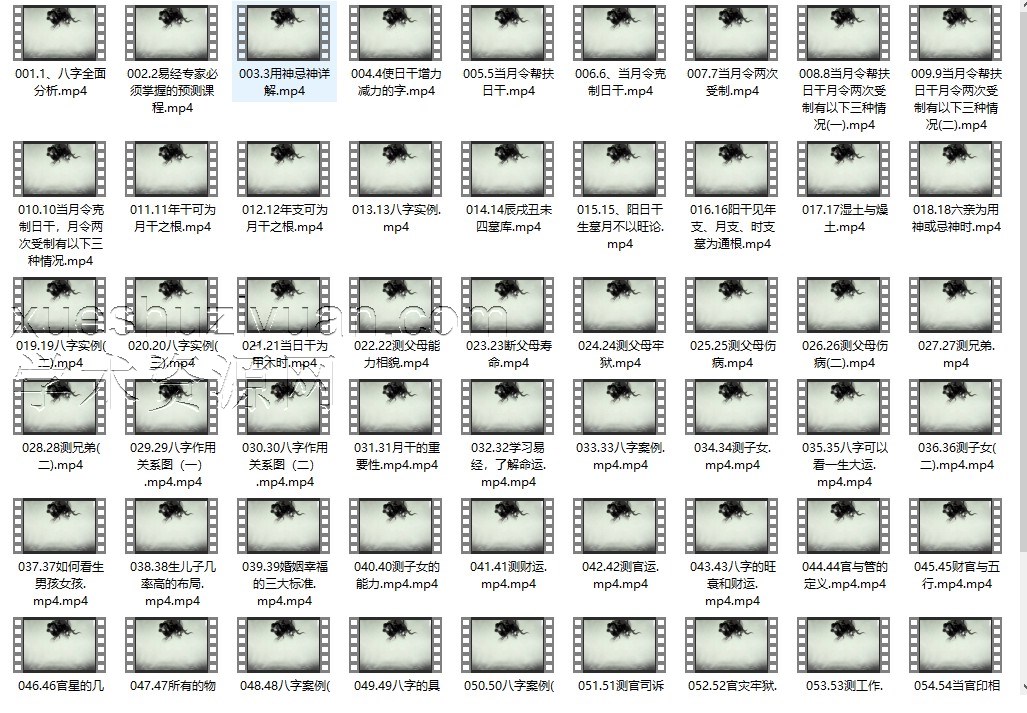 李明光八字命理线上中级密训62集插图 李明光八字命理线上中级密训62集插图