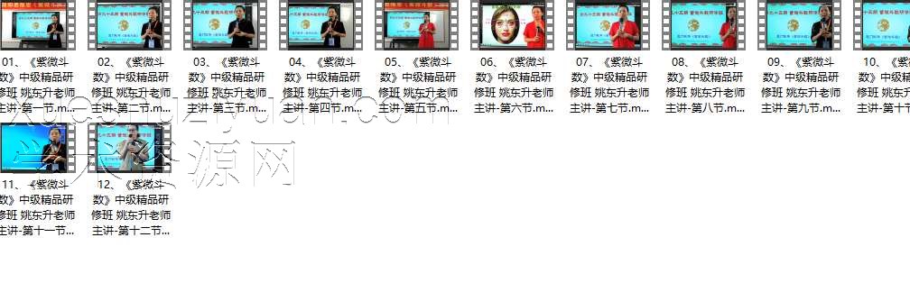 93期 姚东升老师主讲《紫微斗数》研修班-12集插图 93期 姚东升老师主讲《紫微斗数》研修班-12集插图