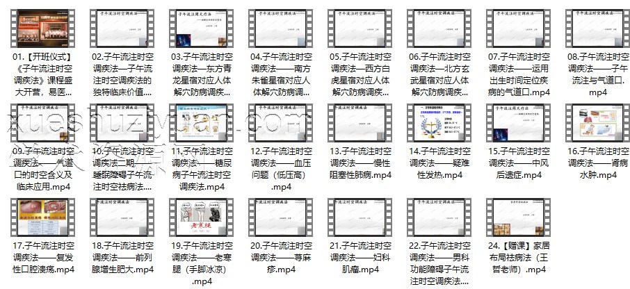 王哲-子午流注时空调疾术-23集理疗必学插图 王哲-子午流注时空调疾术-23集理疗必学插图