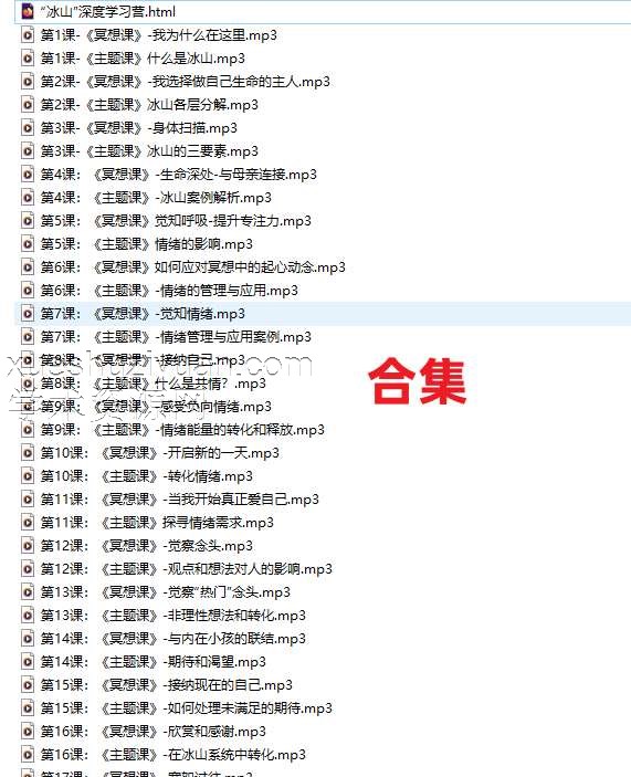 “冰山”深度学习营 冥想课40录音课程插图